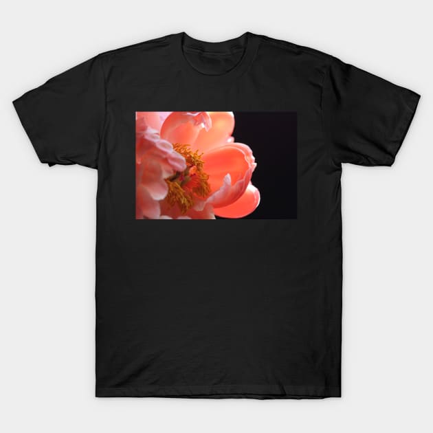 Peach Peony Macro T-Shirt by gracethescene